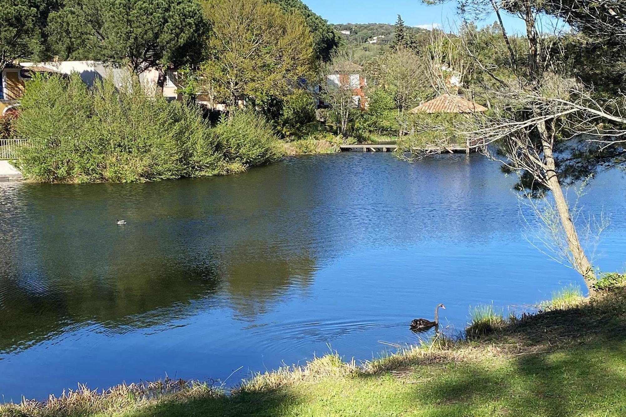 Les Bastides 3124 Villa Grimaud Eksteriør billede