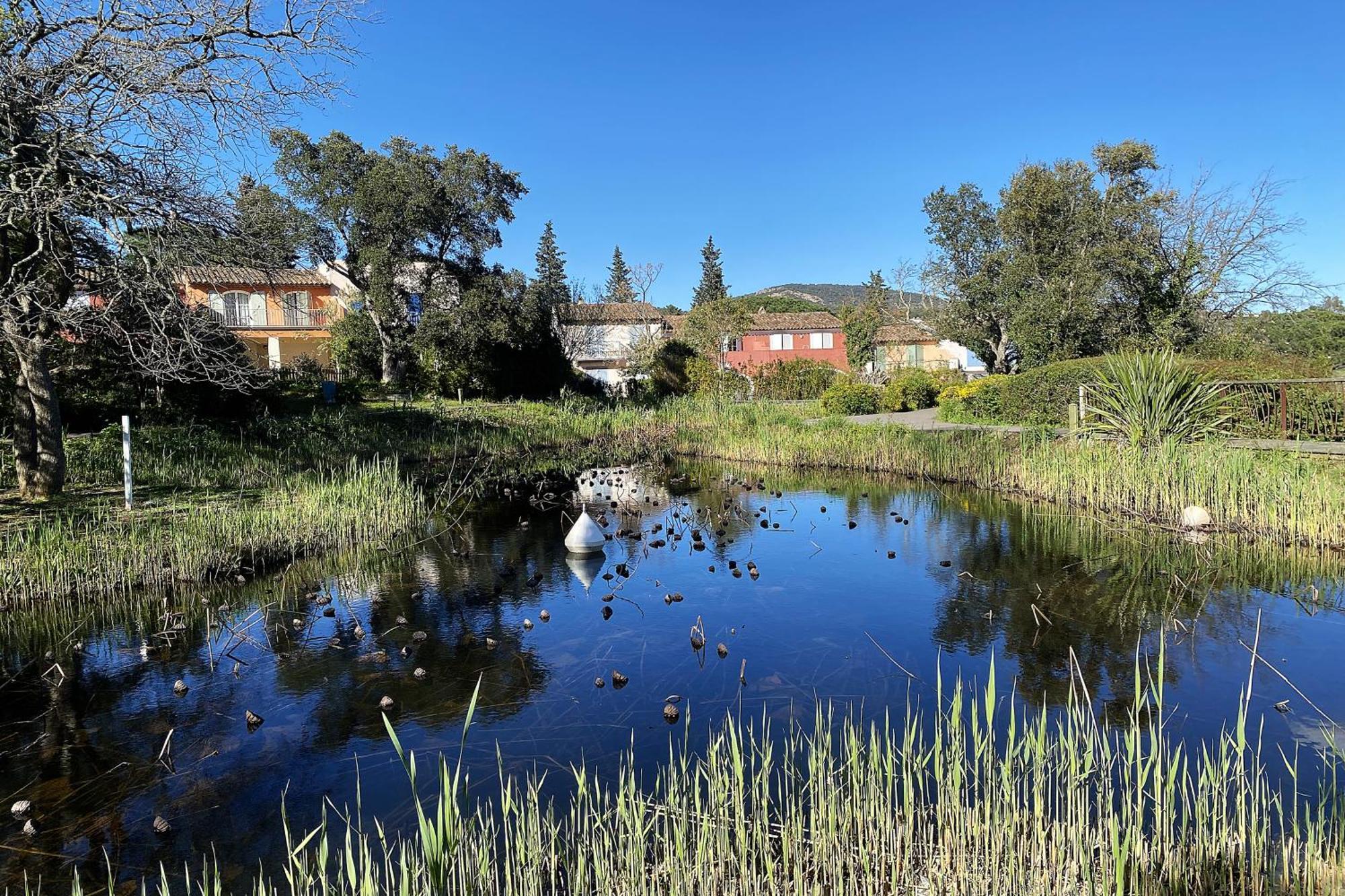 Les Bastides 3124 Villa Grimaud Eksteriør billede